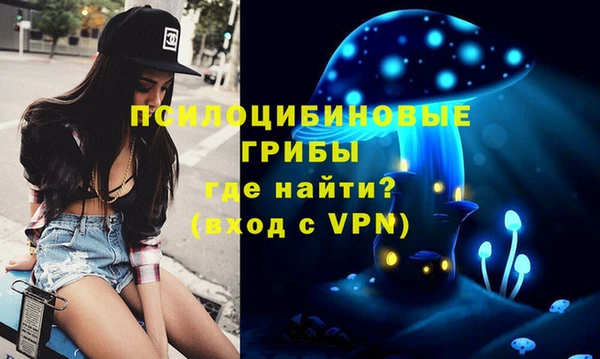 ГАЛЛЮЦИНОГЕННЫЕ ГРИБЫ Алексин