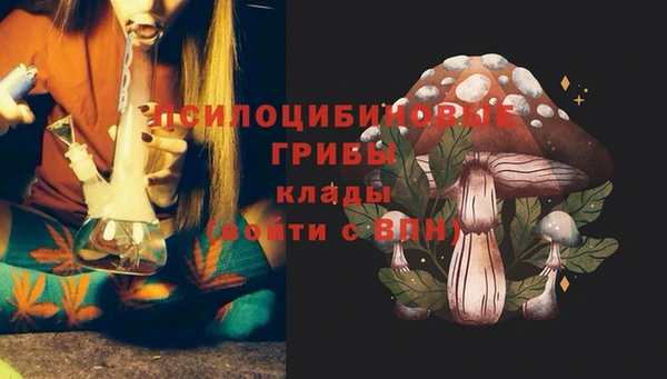 прущая мука Алзамай