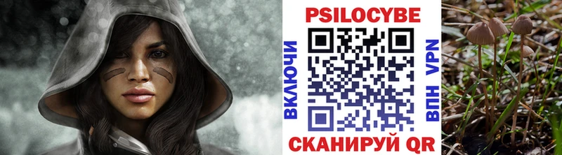 Псилоцибиновые грибы Psilocybe Мензелинск